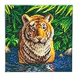 CRYSTAL ART CAK-A74 Tiger-Pool, Kristallkunst 30x30cm Framed Kits, Multicolor