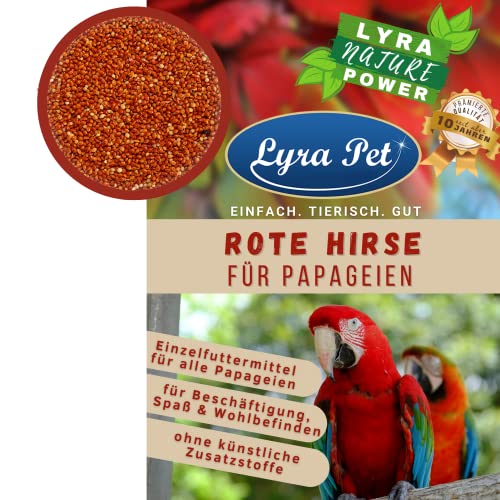 Lyra Pet® 25 kg Hirse rot lose für Papageien Kolbenhirse Exoten Sittiche Streufutter
