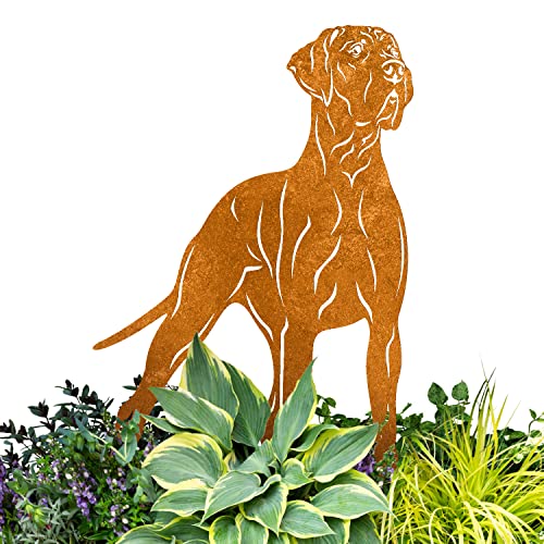 Terma Stahldesign Gartenstecker Edelrost Hund Deutsche Dogge Handmade Germany, Höhe 30cm tolle gartendeko aus Rost-Metall, deko rostoptik, Rostfiguren Tiere,