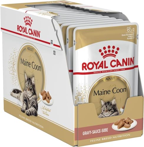 Royal Canin Breed Maine Coon Adult in Soße - 24 x 85 g