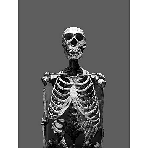 Wee Blue Coo Fotokomposition Portrait menschliches Skelett Totenkopf Knochen Kunstdruck Poster Wanddekoration 30,5 x 40,6 cm