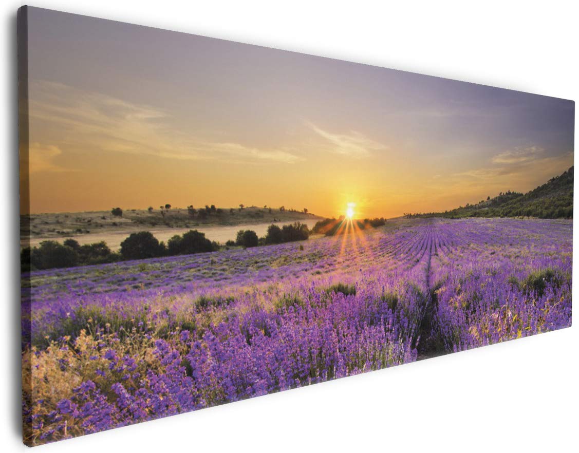 Wallario XXL Leinwandbild Sonnenuntergang über dem Lavendel - Wandbild 60 x 150 cm Brillante lichtechte Farben, hochauflösend, verzugsfrei, Kunstdruck