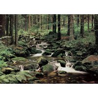 papermoon Vlies- Fototapete Digitaldruck 350 x 260 cm, Nature