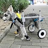 Sobotoo Rollstuhl, verstellbar, volle Stützung für Haustiere, 4 Räder, Hundewagen vorne und hinten Beine, Rehabilitation für behinderte kleine Hunde, Welpen, Katzen
