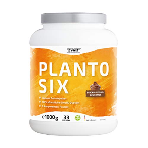 TNT Planto Six • 1 kg Vegan Protein • Veganes Proteinpulver aus Erbsen, Hanf & Lupinen • 6-Komponenten Protein (Chocolate Pudding)