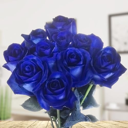 10 blaue Rosen - langstielig und vasenfertig