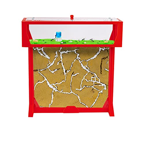 AntHouse - 3D Ameisenfarm aus Sand | Rot T Kit 25x20x1,5 cm | Inklusive Ameisenkolonie