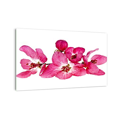DekoGlas Küchenrückwand 'Rosa Blume blüht' in div. Größen, Glas-Rückwand, Wandpaneele, Spritzschutz & Fliesenspiegel