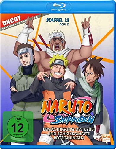 Naruto Shippuden - Staffel 12, Box 2: Folge 481-495 (Blu-ray Disc)