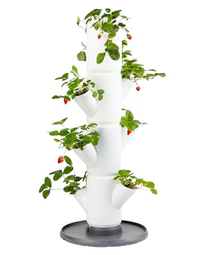 GUSTA GARDEN Sissi Strawberry (Starter, weiß) - Pflanzgefäß/Topf für Erdbeeren - für Balkon und Garten
