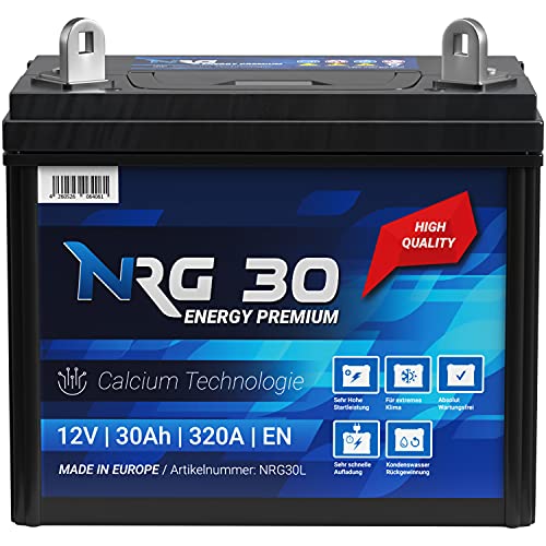 NRG Starterbatterie 30Ah Rasentraktor Aufsitzmäher Rasenmäher Batterie Plus Pol rechts