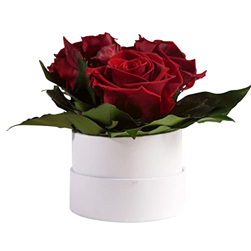 ROSEMARIE SCHULZ Heidelberg Rosenbox Flowerbox weiß rund konservierte Rosen - 3 Infinity Rosen Blumengruß Geschenk für Frauen (Burgundy, Medium)