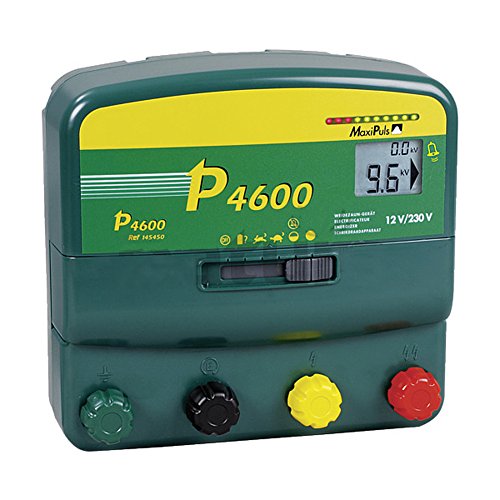 P4600, Batterien Multifunktions-Gerät, 230V/12V - 145450