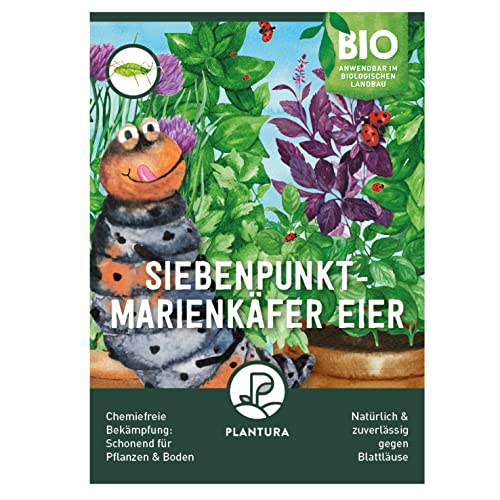Plantura Siebenpunkt-Marienkäfer Eier gegen Blattläuse, wirksam & nachhaltig, 150 Nützlinge