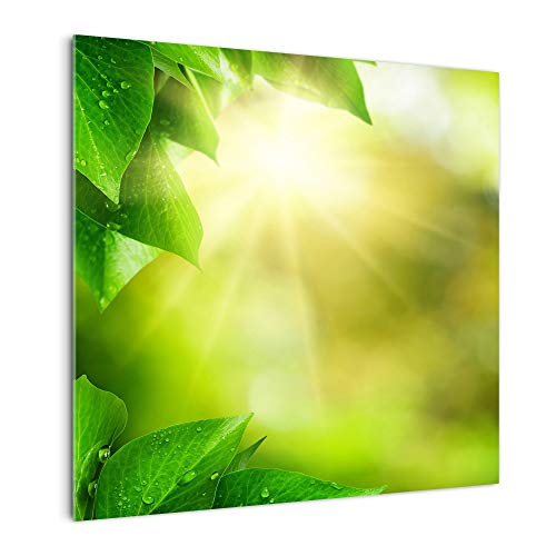 DekoGlas Küchenrückwand 'Sonne bricht durch' in div. Größen, Glas-Rückwand, Wandpaneele, Spritzschutz & Fliesenspiegel
