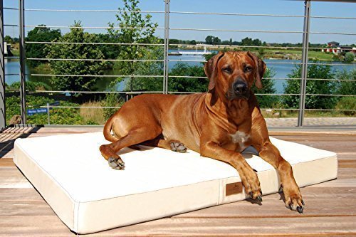 tierlando Orthopädische Hundematratze Hugo Ortho Plus | XL 120 x 90 cm | Anti-Haar Polyester | Creme