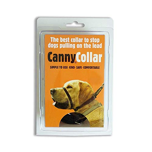 Canny Dog Collar Black Größe 6