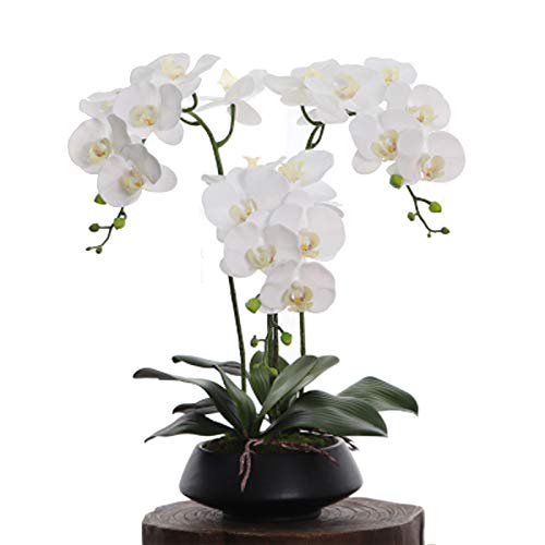 Künstliche Orchidee Bonsai mit Keramikvase, Gefühl PU Real Touch Blumen Phalaenopsis Bonsai für Tischstelle Home Party Dekoration,Weiß