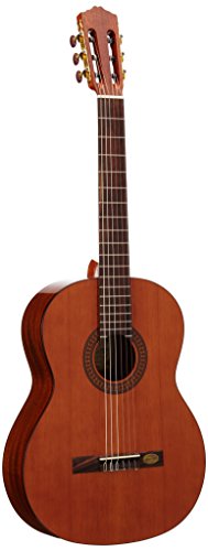 Salvador Cortez CC-22 Gitarre