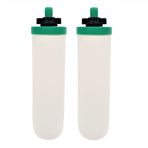 AquaHouse Schwerkraft Keramik Wasserfilter mit Fluorid- und Schwermetallfiltration (2er Pack)
