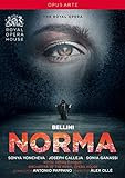 Bellini: Norma (Royal Opera House) [DVD]