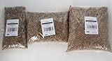 Hermetialarven / Soldatenfliegenlarven gefroren 250g 500g 1000g 250 g 500 g 1 kg | Aufzuchtfutter z.b für Schwalben Mauersegler (500g)