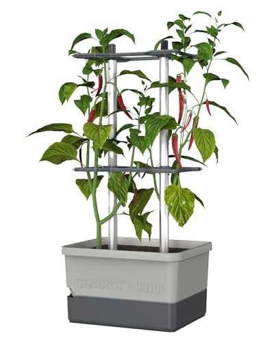 Charly Chili - Chilitopf - 4,5 L Wassertank mit Bewässerungssystem - stabile, Innovative Rankhilfe - 10 L Erdvolumen - für Chili, Paprika, Auberginen - Pflanzgefäß Blumentopf Pflanzturm (Hellgrau)