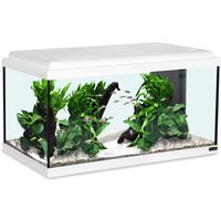 AQUATLANTIS Aquarium »Advance 60 LED«, 54 Liter, BxTxH: 60x30x34 cm, weiß