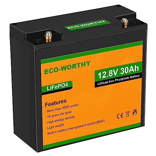 ECO-WORTHY LiFePO4 12V 30Ah Batterie mit BMS Schutz und 3000 Zyklen, Lithiumbatterie 12V für Wohnmobil,Solaranlage, Boot, Haushalt, Solarpanel Kit,Camping