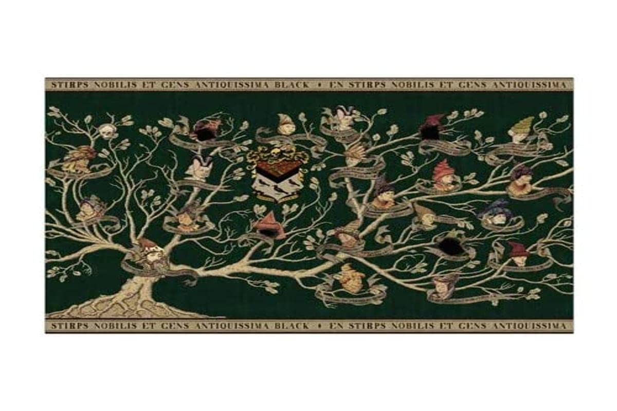 Distrineo Black Family Tapestry Poster - Harry Potter