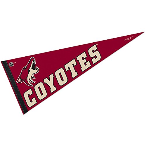 NHL Arizona Coyotes WCR63876513 Carded Classic Pennant, 12 x 30