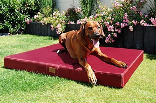 tierlando Orthopädische Hundematratze Hugo Ortho Plus | M 80 x 60 cm | Anti-Haar Polyester | Dunkelrot Bordeaux