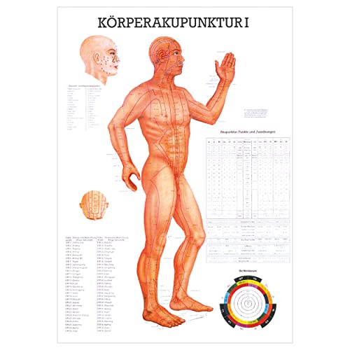 Körperakupunktur I Lehrtafel Anatomie 100x70 cm medizinische Lehrmittel