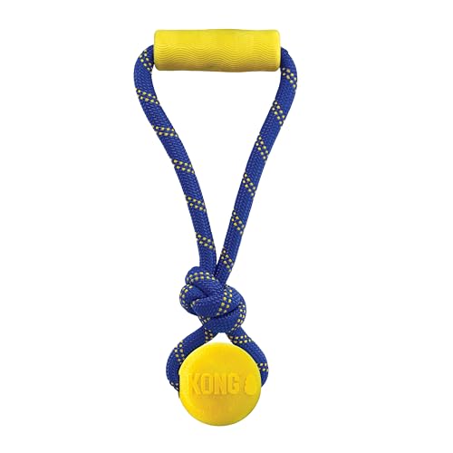 Kong Company 38749537: Jaxx Brights Hundespielzeug mit Ball, Größe M