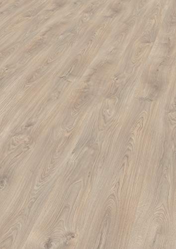 EGGER Basic Laminatboden EBL020 Belfort Eiche Silber (7mm, 2,494m²) | authentische Holzoptik | | Einfache Verlegung durch CLIC It System | Praktisch & wertbeständig, grau