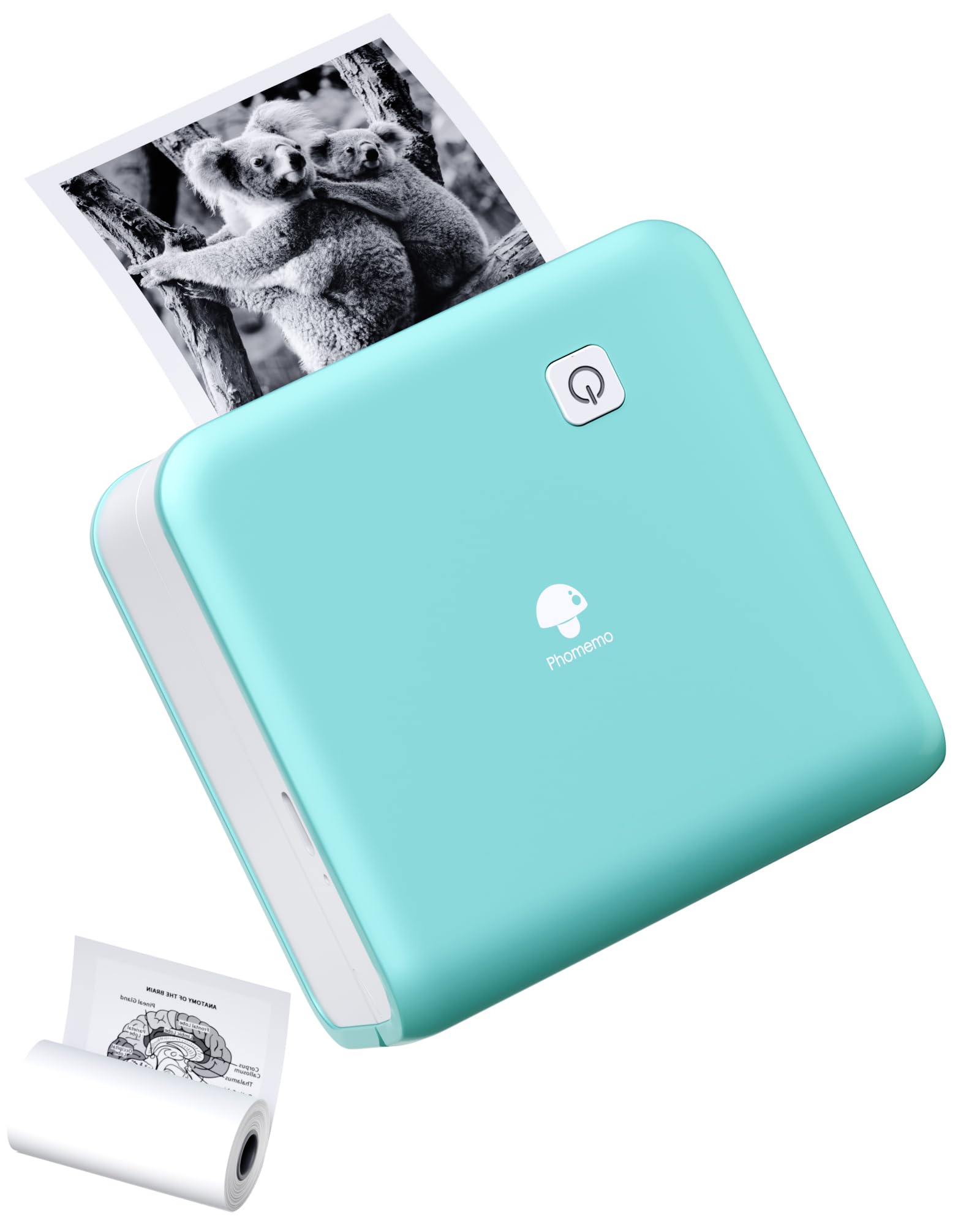 Phomemo M02 Pro 300 DPI Mini Drucker,Thermodrucker Bluetooth Fotodrucker für Handy,Druckgröße 15,25,53mm,für iOS und Android, Studium,Scrapbooking,Fotos,Notizen - Grün