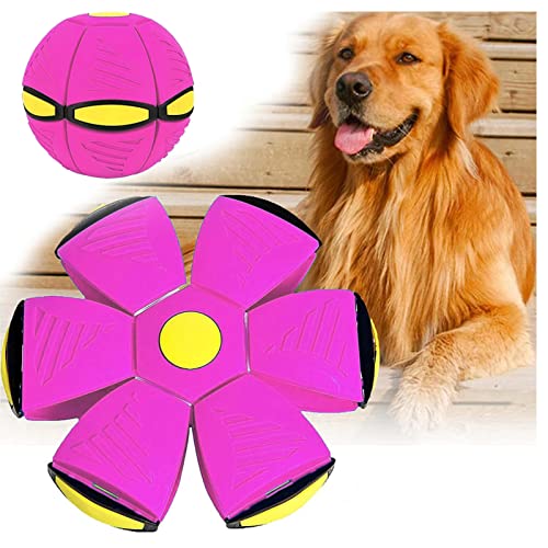 ROMOZ Fliegende Untertasse Hundespielzeug, BäLle FüR Hunde Es Gibt Bunte Lichter Hunde Frisbee Scheibe, Fliegenden Scheibe In Einen Ball Verwandelt,Purple-1PC