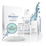 Aknederm Premium Set for normal skin, 780 g