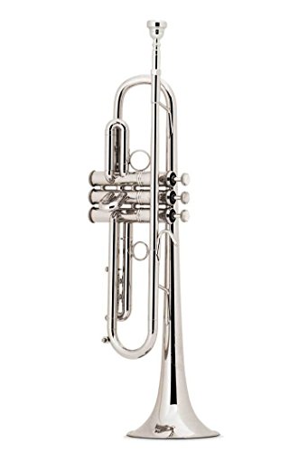 Vincent Bach Bb-Trompete LT190L1B Stradivarius LT190SL1B