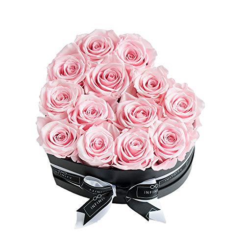 Infinity Flowerbox 5-BB-BP Infinity Herzbox, Bridal Pink, Large