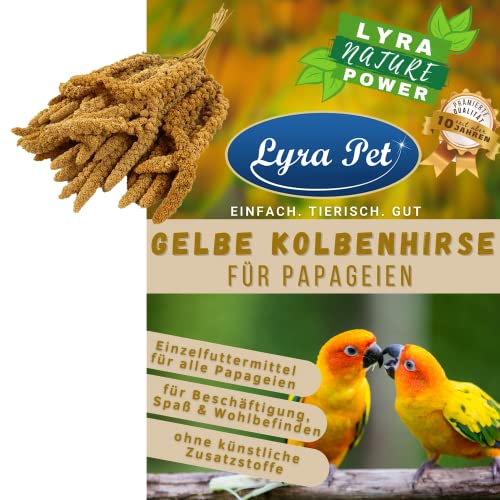 Lyra Pet® 15 kg gelbe Kolbenhirse Papagei Exotenfutter Kanarienfutter Sittich