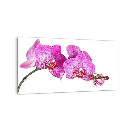 DekoGlas Küchenrückwand 'Rosa Orchidee II' in div. Größen, Glas-Rückwand, Wandpaneele, Spritzschutz & Fliesenspiegel