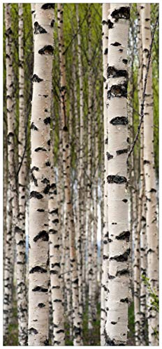 Wallario Premium Türfolie Türposter Selbstklebende Türtapete Birkenwald - Baumstämme in schwarz weiß - 93 x 205 cm Abwischbar, Brillante Farben rückstandsfrei zu entfernen