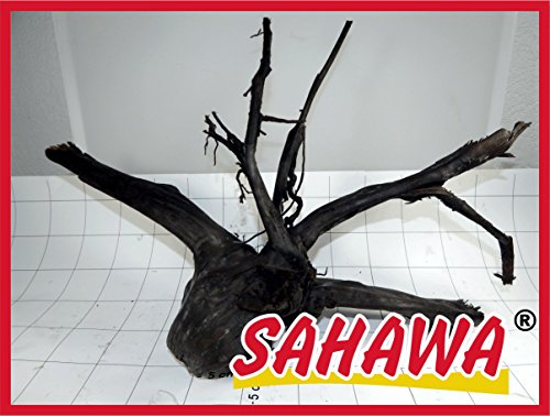 SAHAWA® Moorwurzel Größe 5 40-50 cm, Moorkienwurzel,rote Moorwurzel, Moorkienholz, Garnelenbaum