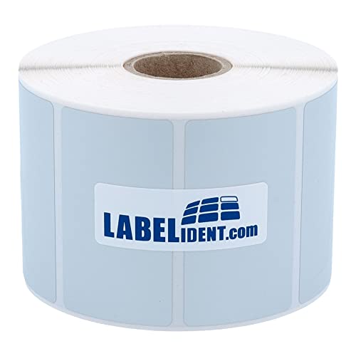 Labelident Thermotransfer-Etiketten auf Rolle silber - 72 x 42 mm - 2.000 Polyester PET Etiketten auf 1 Rolle(n), 1 Zoll (25,4 mm), Typenschild Etiketten selbstklebend