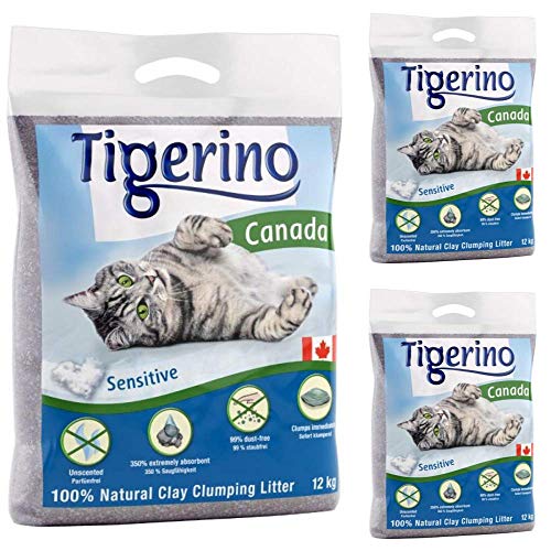 Tigerino Canada Katzenstreu mit Klumpen, 36 kg, geruchlos, antibakteriell, Einweg- und hypoallergen, mit Geruchskontrolle, Formelfrei, 4,5 cm natürlicher Katzenminze-Ball