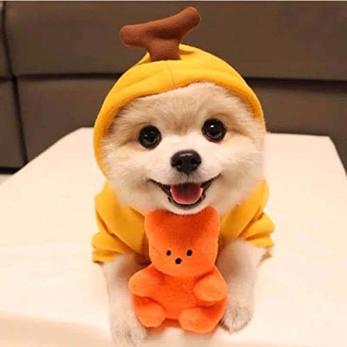 1 Stück kleine und mittelgroße Haustierhunde Hoodies Teddy Französische Bulldogge Warme Kleidung im Herbst und Winter Chihuahua Hund Dress Up Jacke