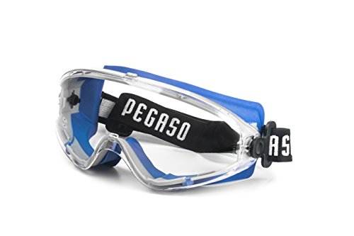 Pegaso 22 Schutzbrille, Blau und Grau, L