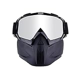 QINQIN Skibrille Unisex Reiten Skibrillen Sportski Snowboard Schutz Gesichtsmaske mit abnehmbaren Brillen fit for Jugendliche Erwachsene Jungen Mädchen (Color : 3)