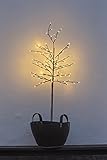 Sirius LED Baum Noah 160 LED warmweiß 150 cm hoch braun für Außen geeignet
